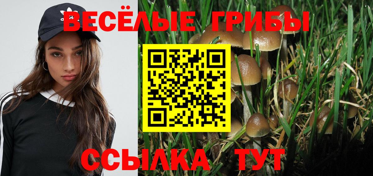 Галлюциногенные грибы Psilocybine cubensis  Вход с VPN  Псилоцибиновые грибы Psilocybine cubensis  Озёры 